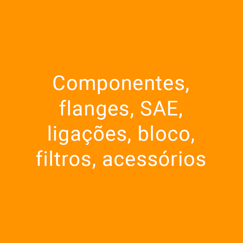 componentes-flanges-sae-ligacoes-bloco-filtros-acessorios-hover